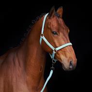 HVP Grime Nena - Aqua Sky